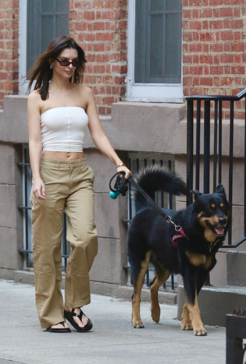 Emily Ratajkowski Enjoys Day Out with Dog in New York 3