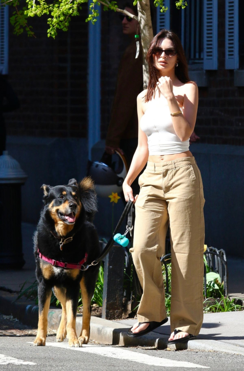 Emily Ratajkowski Enjoys Day Out with Dog in New York 4