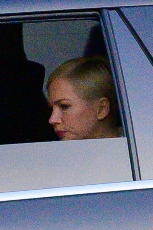 Michelle Williams Arrives at Dior Fashion Show in New York 3