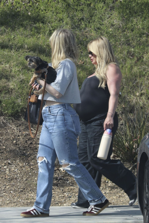 Pregnant Hilary Duff Hiking with Friends in Los Angeles 6