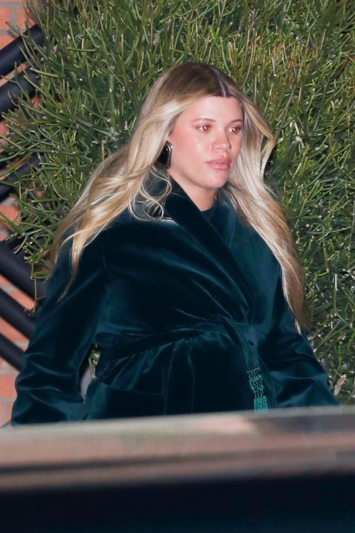 Pregnant Sofia Richie Leaves NB44 Party in Beverly Hills 3