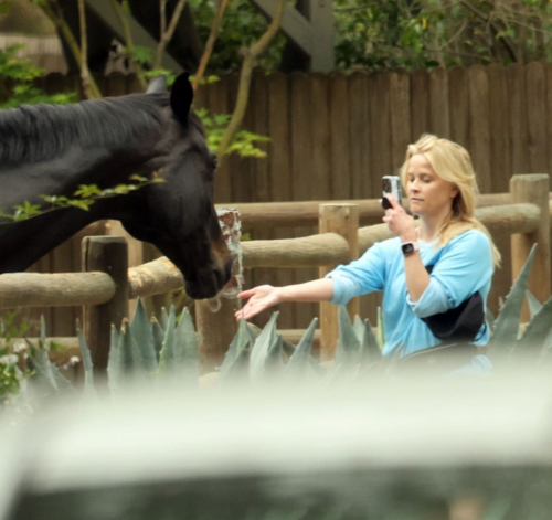 Reese Witherspoon Takes Selfies with Local Horses in Los Angeles 4