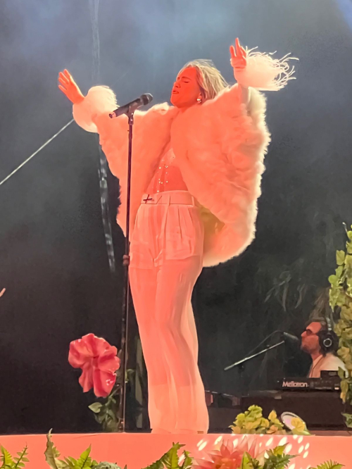 Suki Waterhouse Performs at Coachella Festival 4