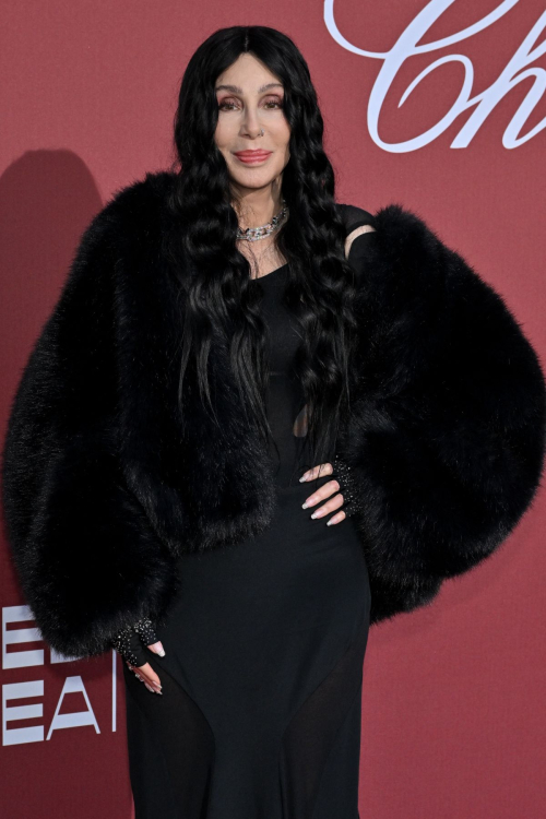 Cher at amfAR Gala at 77th Cannes Film Festival