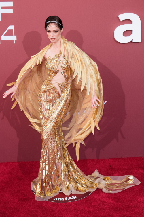 Coco Rocha at amfAR Gala at 77th Cannes Film Festival 4