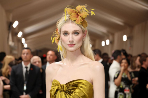 Elizabeth Debicki at Met Gala Celebrating Sleeping Beauties in New York 4