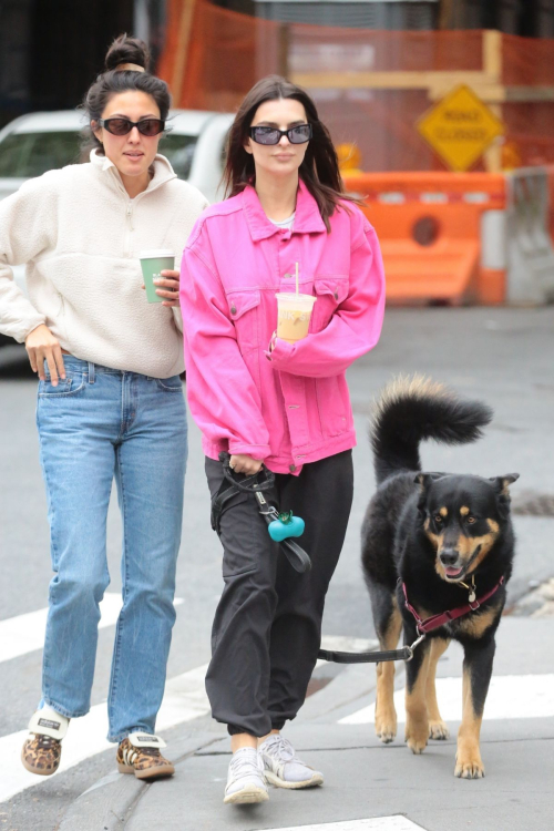 Emily Ratajkowski Out with Dog Colombo Friend New York 9