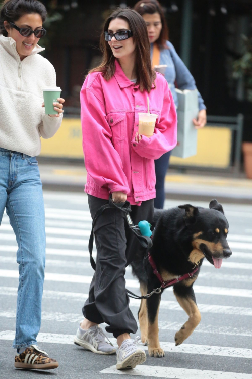 Emily Ratajkowski Out with Dog Colombo Friend New York 4