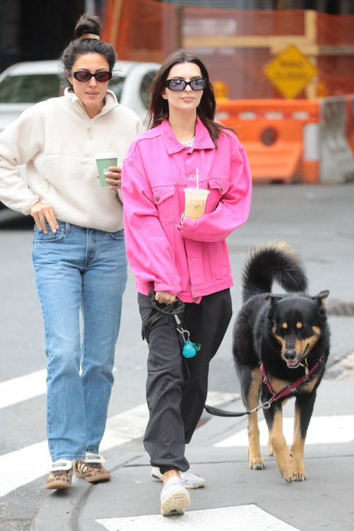 Emily Ratajkowski Out with Dog Colombo Friend New York 5