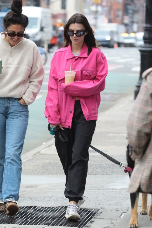 Emily Ratajkowski Out with Dog Colombo Friend New York 6