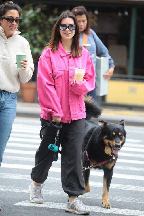 Emily Ratajkowski Out with Dog Colombo Friend New York 8