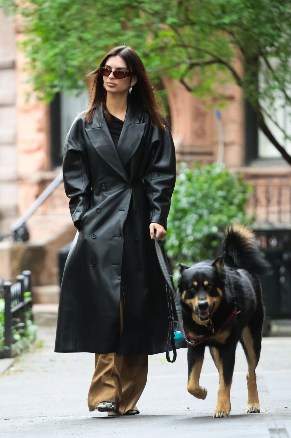 Emily Ratajkowski Out with Dog Colombo in New York