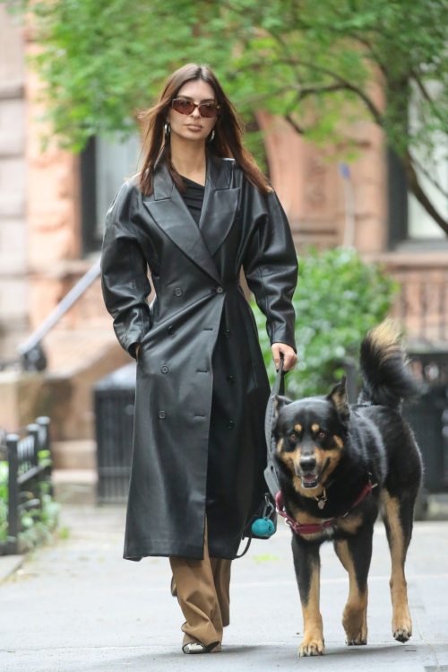 Emily Ratajkowski Out with Dog Colombo in New York 1