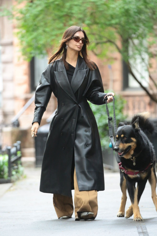 Emily Ratajkowski Out with Dog Colombo in New York 6