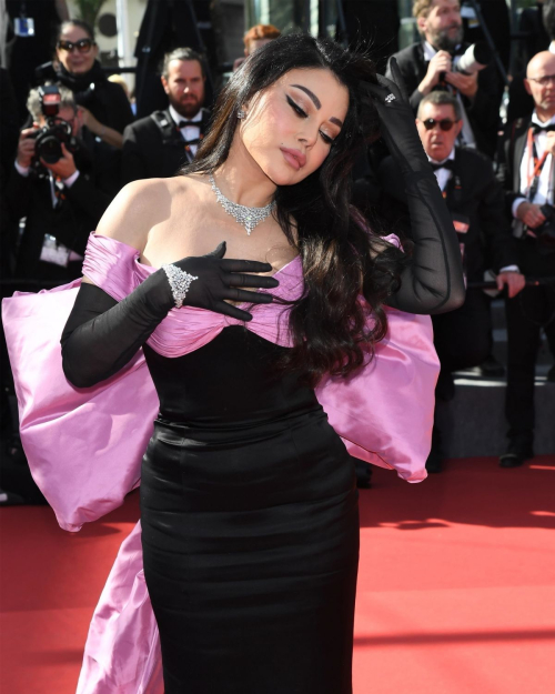 Haifa Wehbe at The Count of Monte Cristo Premiere at 77th Cannes Film Festival 6