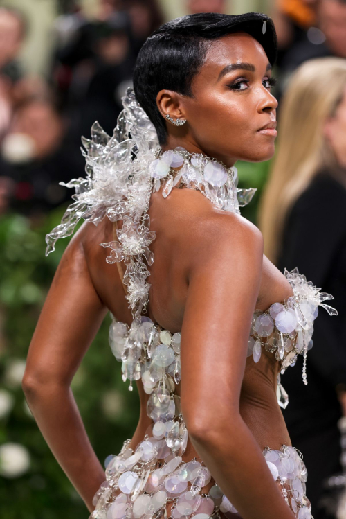 Janelle Monae at Met Gala Sleeping Beauties Celebration in New York 9