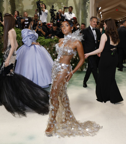 Janelle Monae at Met Gala Sleeping Beauties Celebration in New York 1