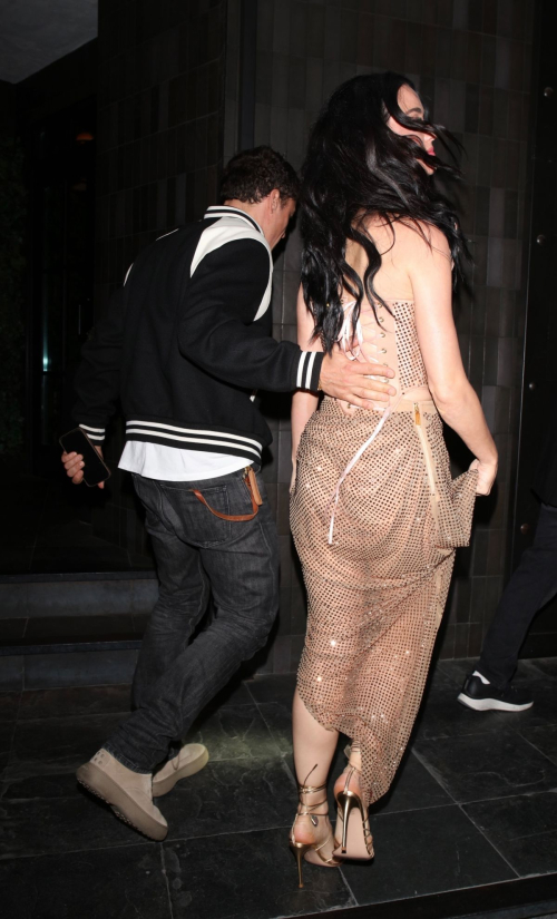 Katy Perry Arrives at American Idol Season Finale After-party in West Hollywood 5