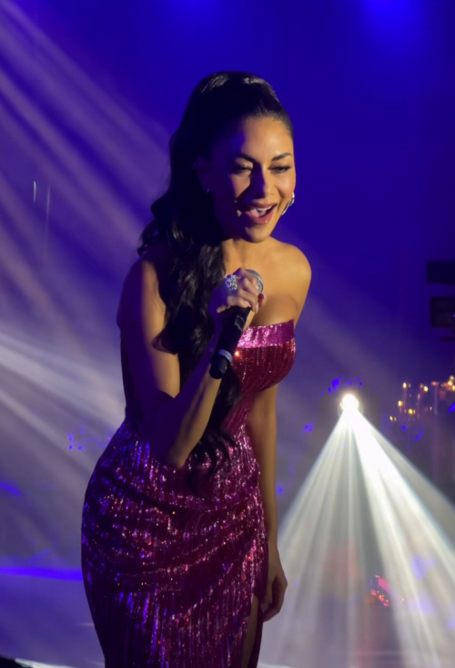 Nicole Scherzinger Performs at Taiss Gala Dinner in Dubai 4