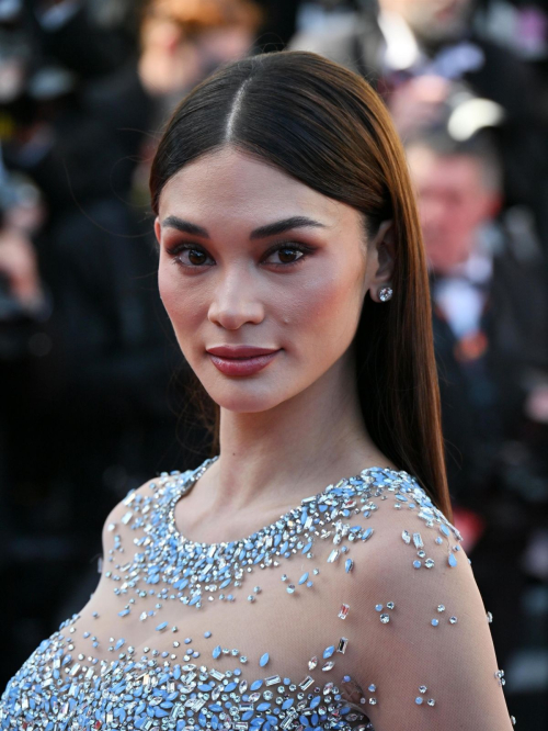 Pia Wurtzbach at The Count of Monte Cristo Premiere at 77th Cannes Film Festival 2