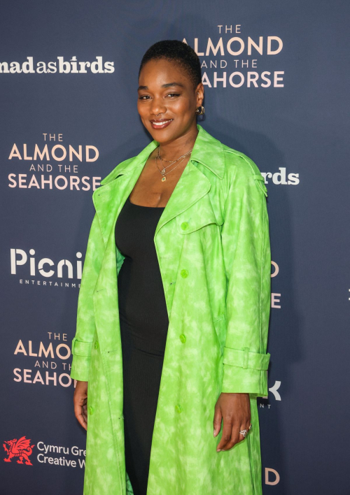 Rachel Adedeji at The Almond and the Seahorse Premiere in London 2