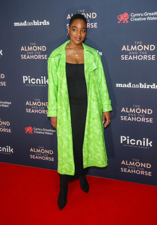 Rachel Adedeji at The Almond and the Seahorse Premiere in London 3