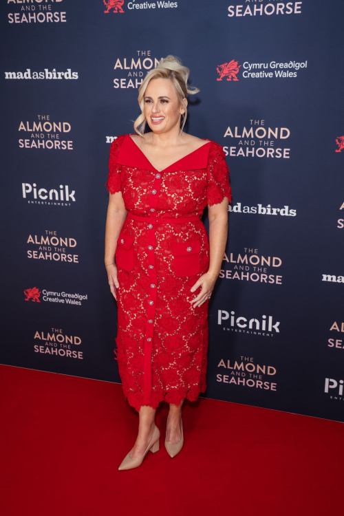 Rebel Wilson at The Almond and the Seahorse Premiere in London 2