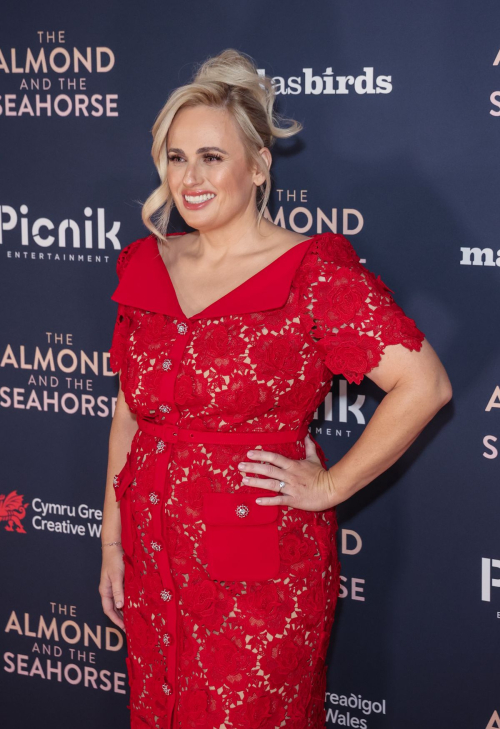 Rebel Wilson at The Almond and the Seahorse Premiere in London 3