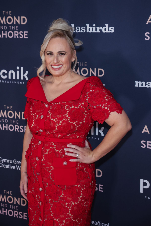 Rebel Wilson at The Almond and the Seahorse Premiere in London 4