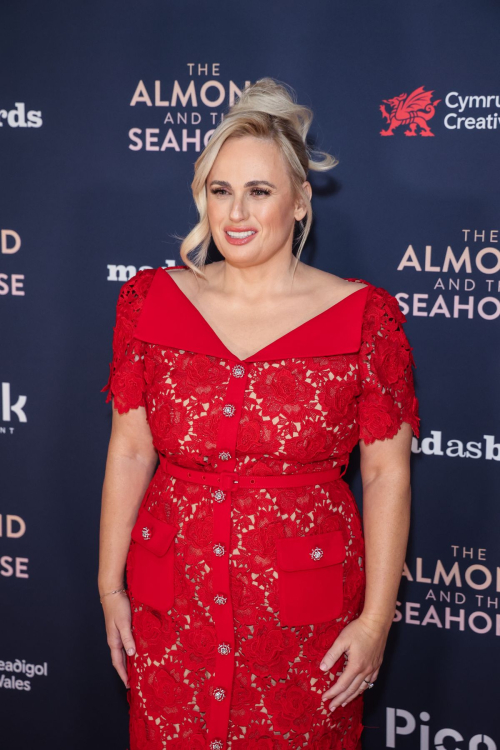 Rebel Wilson at The Almond and the Seahorse Premiere in London 5