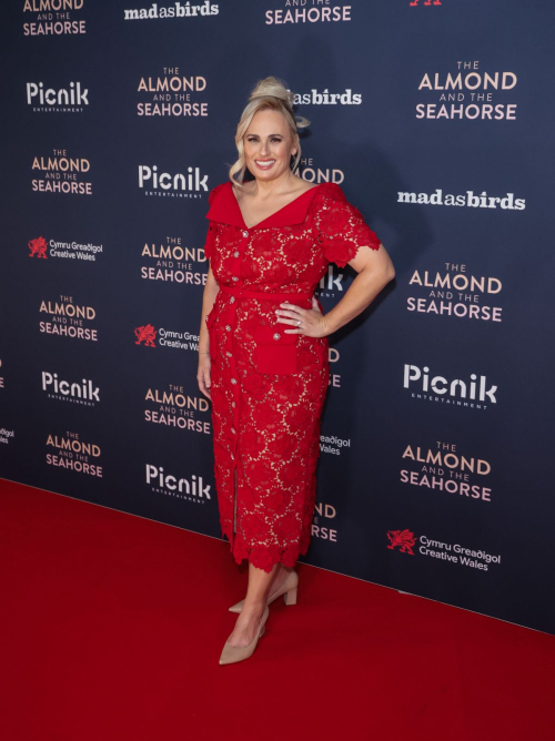 Rebel Wilson at The Almond and the Seahorse Premiere in London 6