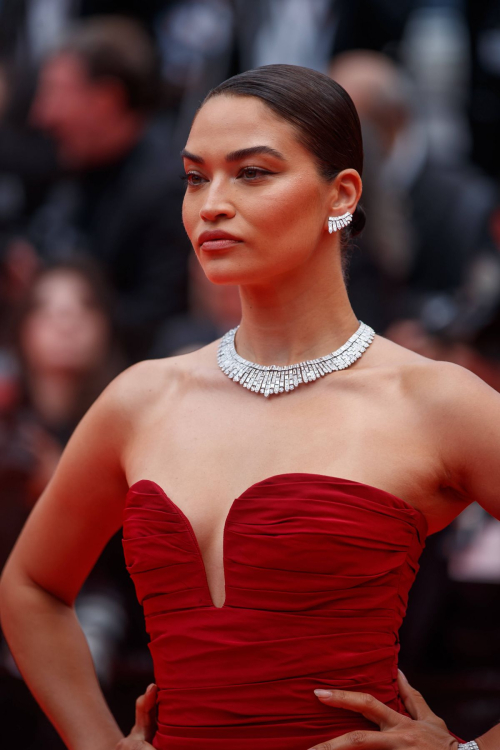 Shanina Shaik at Cannes Film Festival Opening Ceremony 1