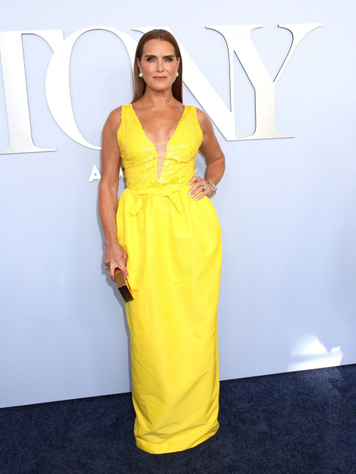 Brooke Shields at 77th Annual Tony Awards New York 1