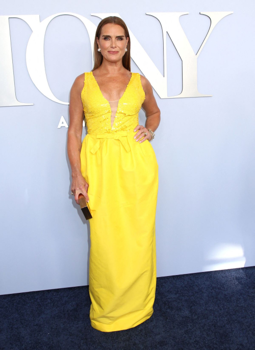 Brooke Shields at 77th Annual Tony Awards New York 4