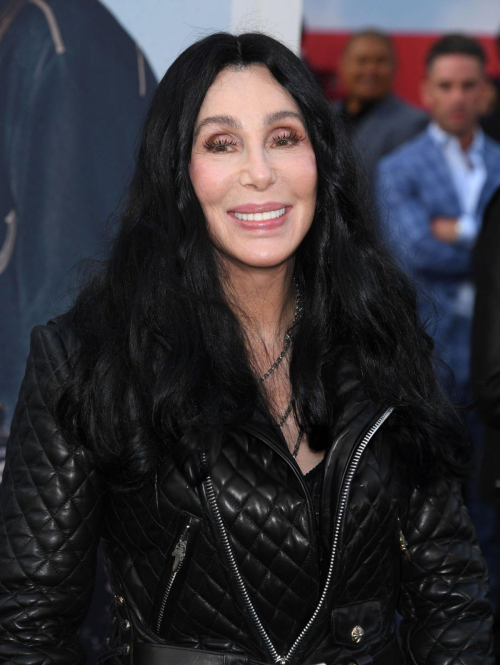 Cher at The Bikeriders Premiere at TCL Chinese Theater in Hollywood 4