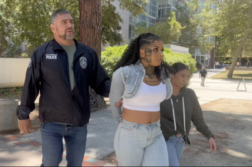 Chrisean Rock Gets Arrested While Attending Bluface‚Äôs Court Hearing in Los Angeles 4