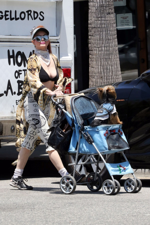 Phoebe Price Takes Pooch for Stroll Los Angeles 2