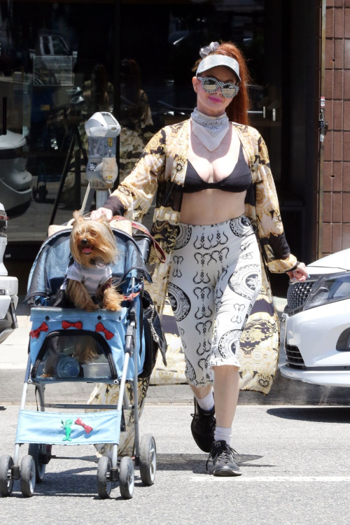 Phoebe Price Takes Pooch for Stroll Los Angeles 3