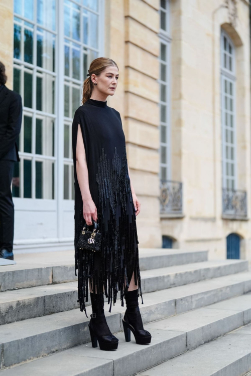 Rosamund Pike Arrives at Dior Fall 2024 Couture Show Paris 2