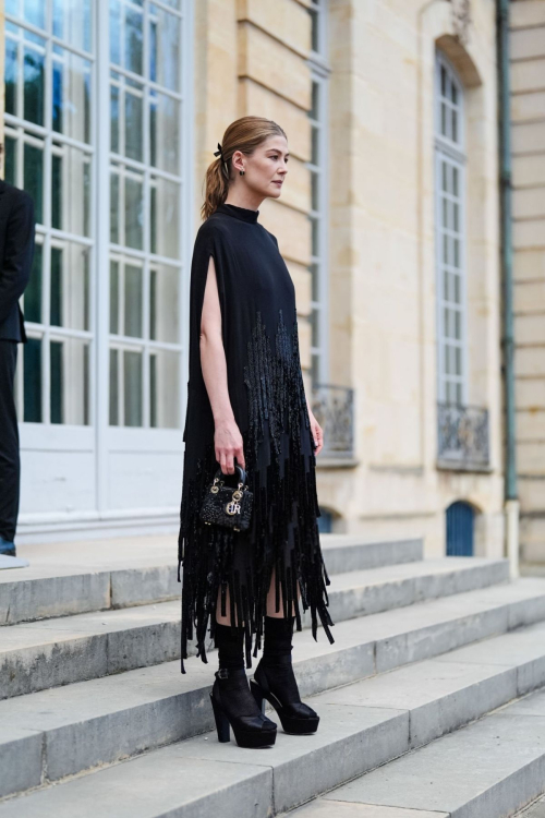 Rosamund Pike Arrives at Dior Fall 2024 Couture Show Paris 3