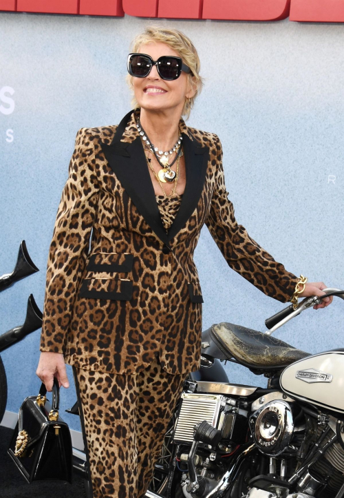 Sharon Stone at The Bikeriders Premiere at TCL Chinese Theater in Hollywood 4