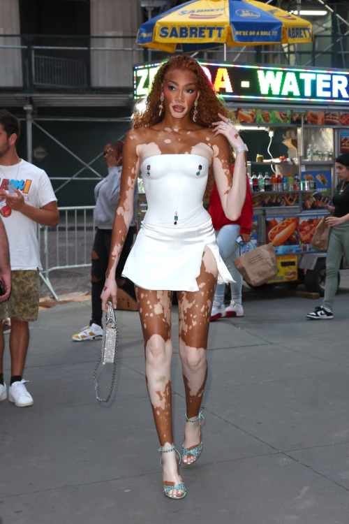 Winnie Harlow Arrives at a MAC Event in New York - June 2024 2