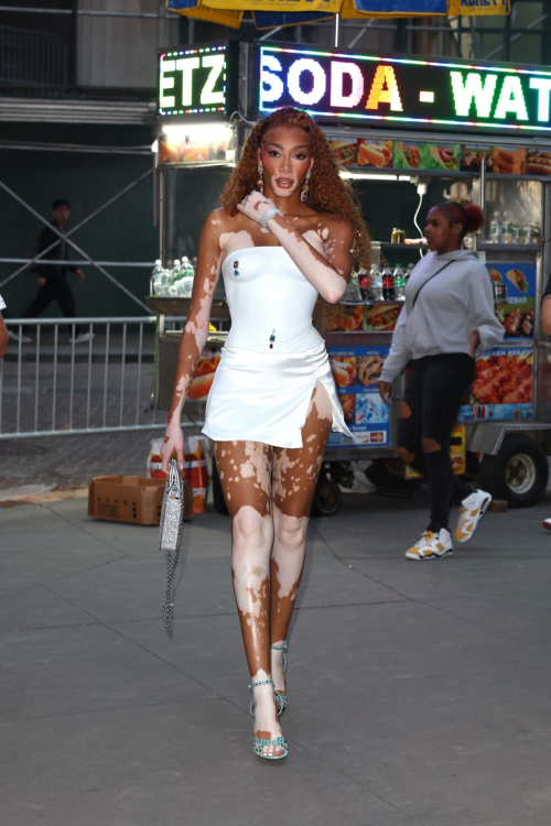 Winnie Harlow Arrives at a MAC Event in New York - June 2024 3