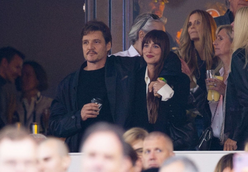 Dakota Johnson Stevie Nicks Hyde Park Show London