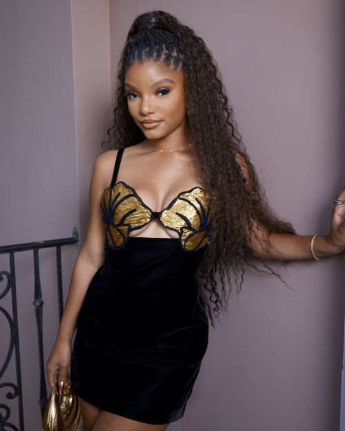 Halle Bailey wore a Golden and Black Outfit During ESPY Night Photoshoot, July 2024