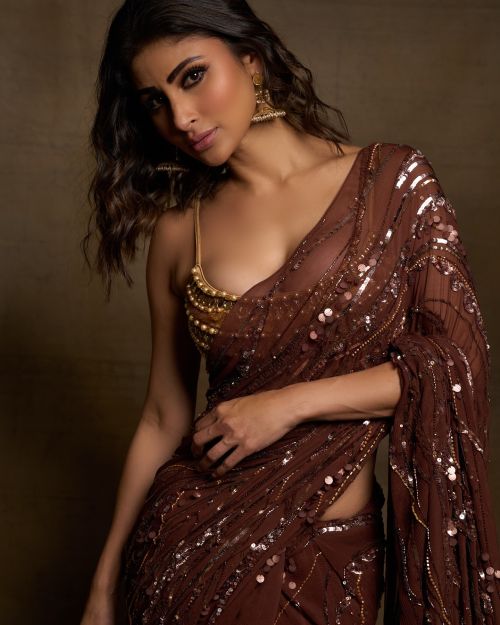 Mouni Roy wears Brown Color Saree during Photoshoot, July 2024 4