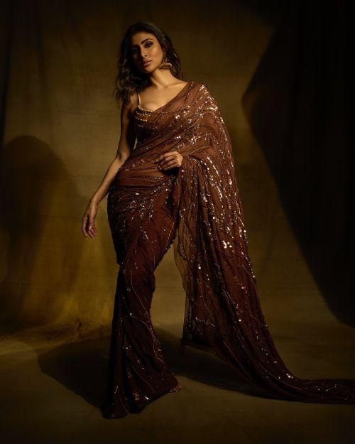 Mouni Roy wears Brown Color Saree during Photoshoot, July 2024 6