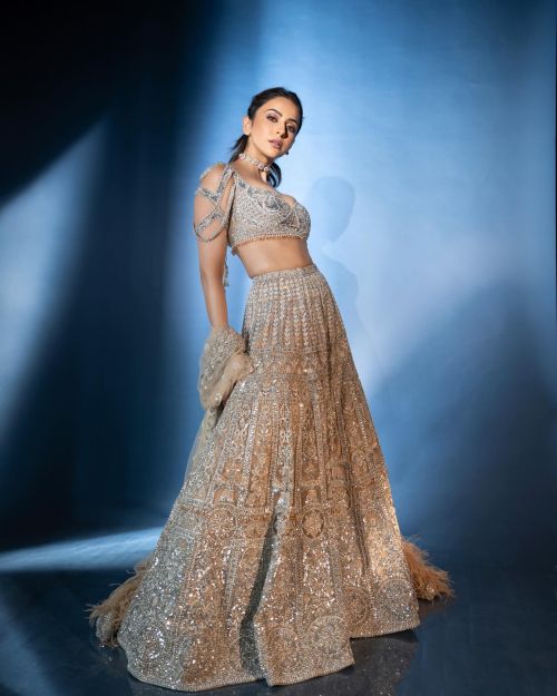 Rakul Preet Singh in a Diamond Bright Lehenga for July 2024 Photoshoot 1