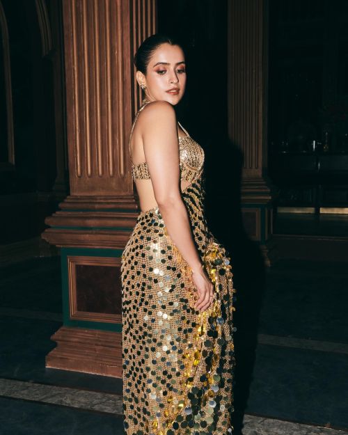 Sanya Malhotra Wears Manish Malhotra Golden Color Saree in Photoshoot, July 2024 1