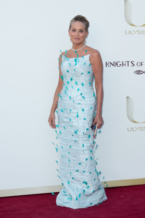 Sharon Stone at Knights of Charity Gala Photocall at Chateau de la Croix des Gardes in Cannes 5